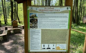 В гостях у Липанюшки Пермь