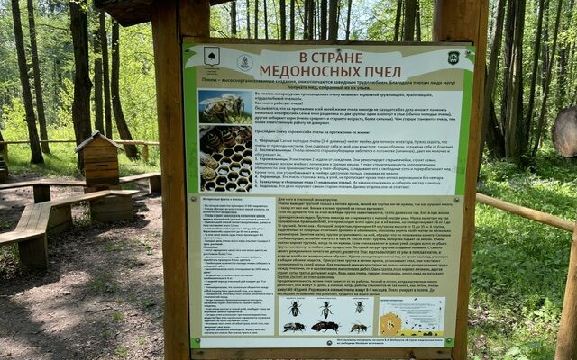 В гостях у Липанюшки Пермь