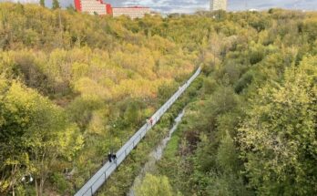 Сентябрьская пермь